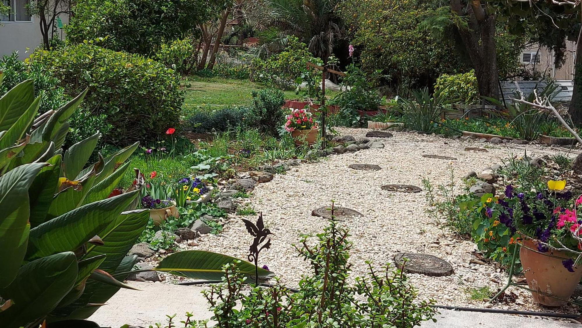 Pundak Guesthouse Ramot ภายนอก รูปภาพ